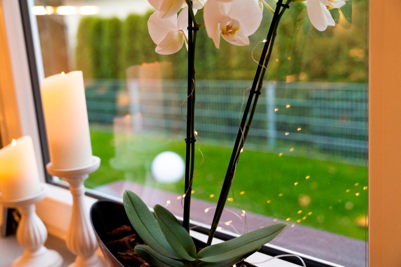 Ferienhaus Gluecksmoment Blankenburg  Exterior photo